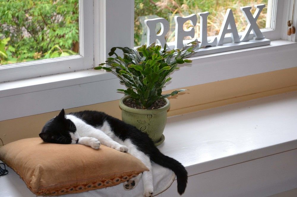 Argyle House Bed And Breakfast Friday Harbor Esterno foto